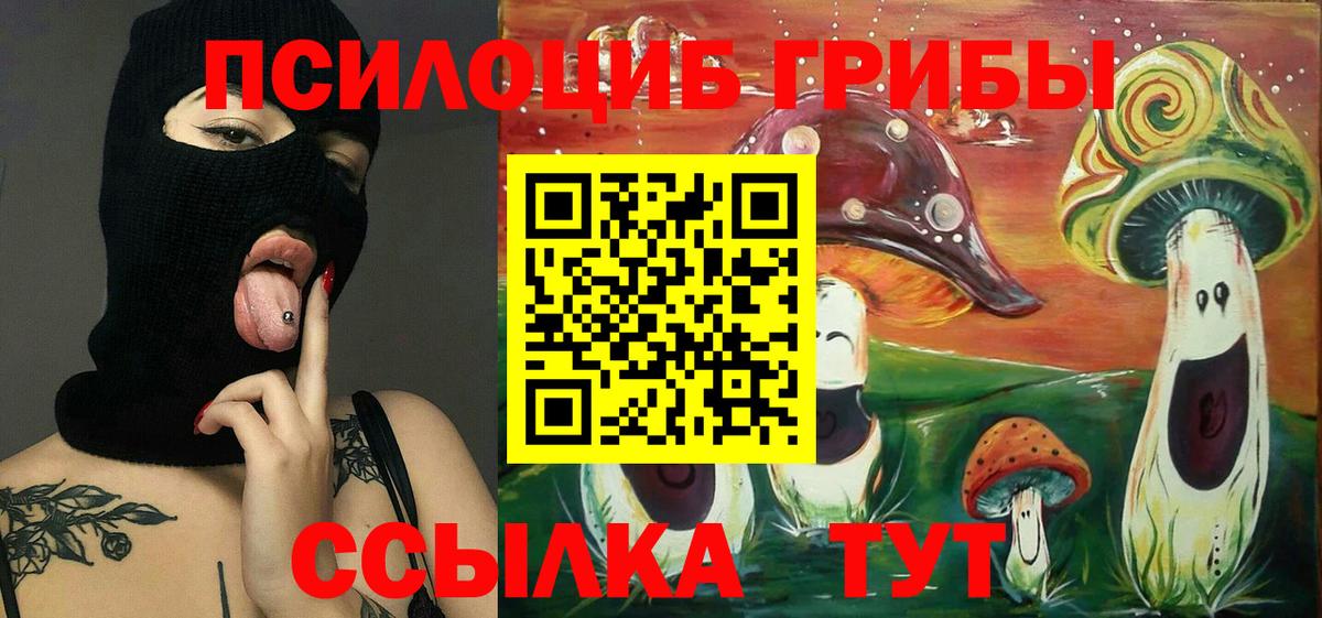 Галлюциногенные грибы Cubensis Шали