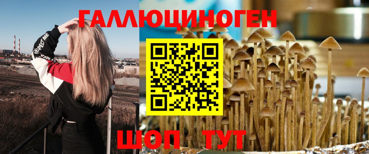 Шали  Галлюциногенные грибы прущие грибы  даркнет сайт  Вход с VPN 